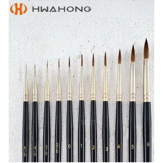 [ผลิตในเกาหลี] HWAHONG Kolinsky Sable Hair Artists Paint Brush for Detail Work- 610 Series