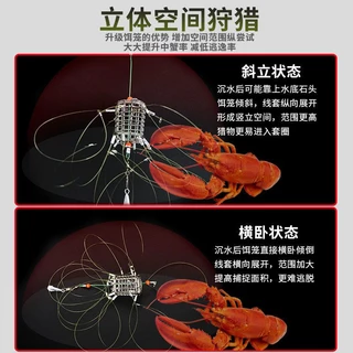 กรงตาข่ายจับปู อัตโนมัติ สําหรับตกปลา
