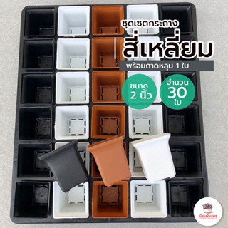 ชุดเซตกระถางสี่เหลี่ยม 2 นิ้ว 30 ใบ พร้อมถาดหลุม 1 ใบ