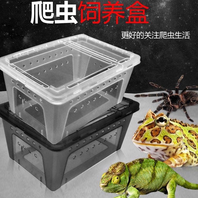 CodeC7o2N กล่องทารันทูล่า กรงทารันทูล่า กล่องสัตว์เลื้อยคลาน S 19x12.5x7.5 ซม. Nomoy H3