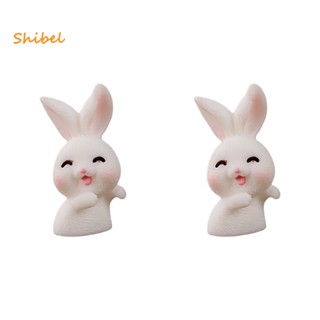 Shibel กระต่ายจิ๋วน่ารัก นํากลับมาใช้ใหม่ได้ สําหรับตกแต่งห้องนอน 2 ชิ้น