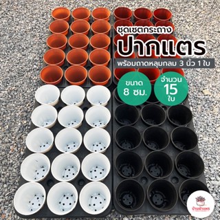 ชุดเซตกระถางปากแตร 8 ซม. #เบอร์7 15 ใบ พร้อมถาดหลุมกลม 3 นิ้…