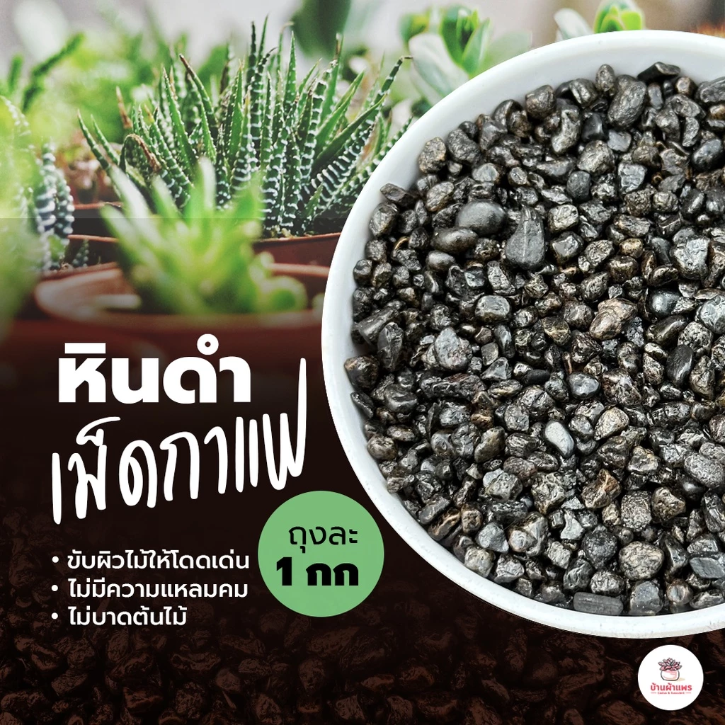 [ 1 กก. ] หินดำเม็ดกาแฟ เม็ดแตงโม หินขอบมน หินดำเงา หินโรยหน้ากระถาง ส่วนผสมดินปลูกแคคตัส&ไม้อวบน้ำ