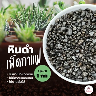[ 1 กก. ] หินดำเม็ดกาแฟ เม็ดแตงโม หินขอบมน หินดำเงา หินโรยหน้ากระถาง ส่วนผสมดินปลูกแคคตัส&ไม้อวบน้ำ