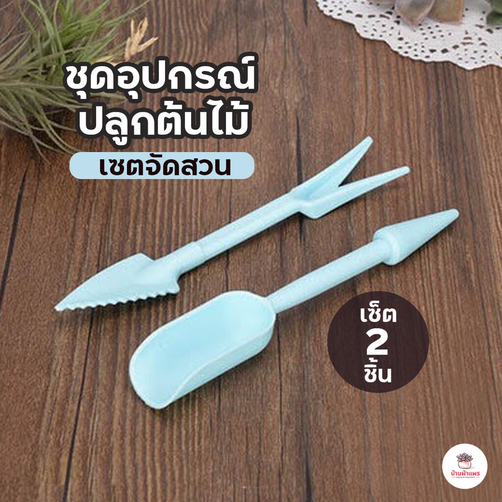 [ เซต 2 ชิ้น ] อุปกรณ์ปลูกต้นไม้ แคคตัส กระบองเพช ไม้อวบน้ำ กุหลาบหิน cactus succulent