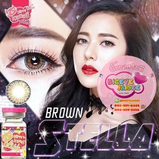 KittyKawaii Stella Eff.19 Brown ใหญ่