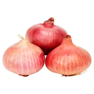 กก.ละSHALLOT  หอมแขก KG.