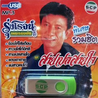 usb รุ่งโรจน์ เพชรธงชัย พิเศษรวมฮิต ชุดสายเปลสายใจ 100 เพลง ร้องไห้ใส่เดือน mp3 usb scp