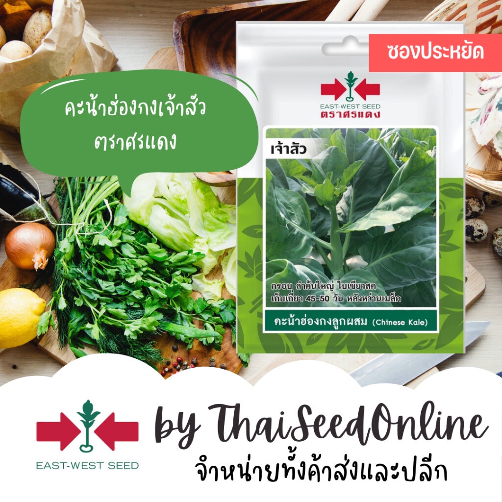 Sorndang(ศรแดง) VP3 ซฟ เมล็ดพันธุ์ คะน้าฮ่องกง เจ้าสัว 100เมล็ด ตราศรแดง Chinese Kale