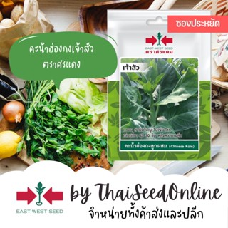 VP3 ซฟ เมล็ดพันธุ์ คะน้าฮ่องกง เจ้าสัว 100เมล็ด ตราศรแดง Chinese Kale