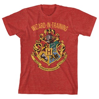 เสื้อยืดพิมพ์ลายlowprice『Trendy Wild Style』เสื้อยืดแขนสั้น พิมพ์ลาย Harry Potter Big Wizard In Training Heather ใส่_12
