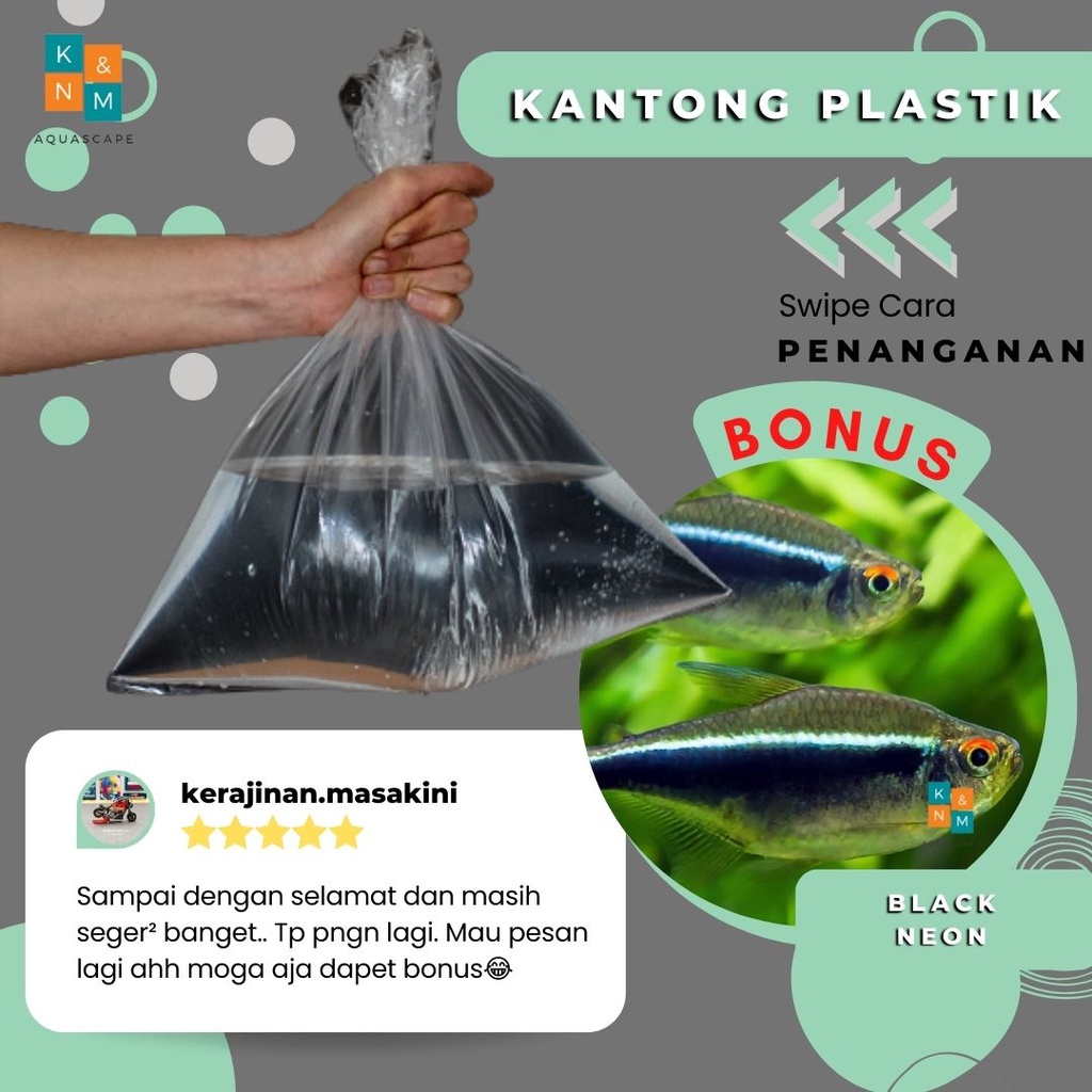 ฟรีถุงพลาสติกนีออนสีดําเครื่องประดับตู้ปลาพิพิธภัณฑ์สัตว์น้ํา Aquascape