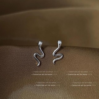 Cold Style S925 Silver Needle Earrings Zircon Silver Snake Earrings Female Creative Personality Exquisite Compact Design Sense Earrings Female