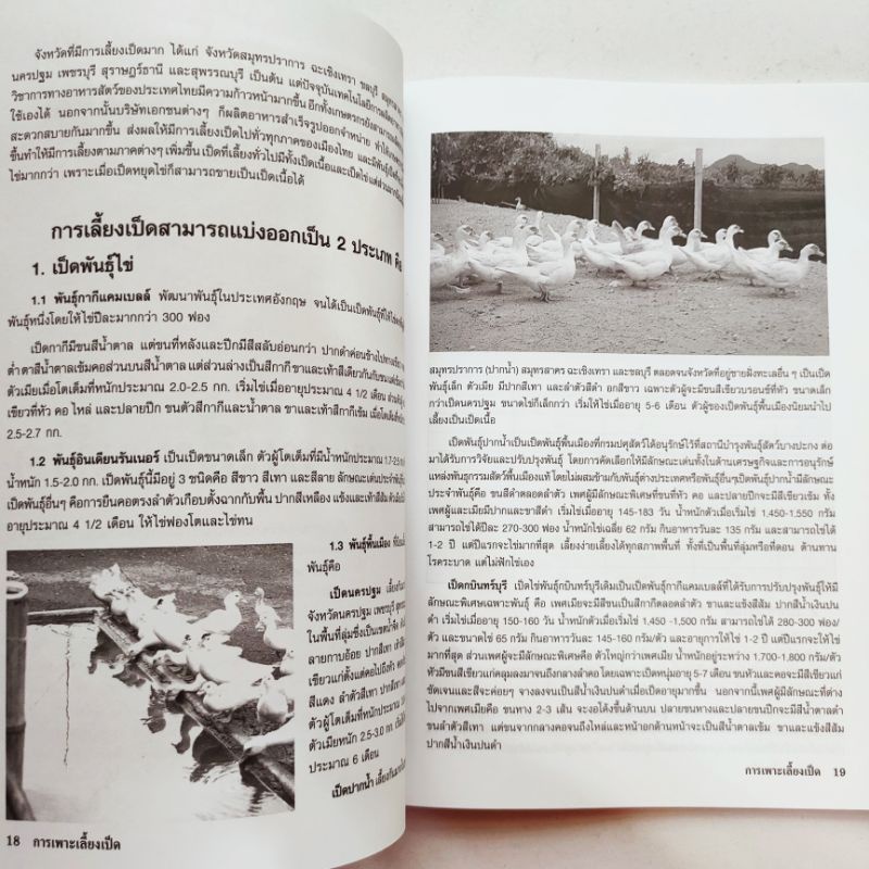 หนังสือเกษตร คู่มือการเพาะเลี้ยงและขยายพันธุ์ เป็ดไข่ และ เป็ดเนื้อ ปก135 หนา80หน้า สัมภาษณ์พิเศษ เจ้าของฟาร์มเป็ดบาบารี - รูปที่ 3