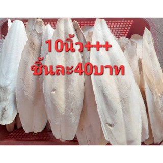 กระดองหมึกแคลเซียมสำหรับนกชิ้นละ40บาท