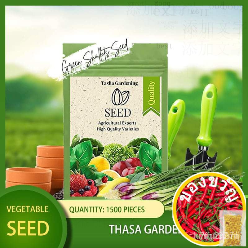 Tasha สวน1500ชิ้นสีเขียวตื้นเมล็ดผักผักผักเมล็ดเมล็ดเมล็ดพืชผักพืชน้ำ YPGP Q3W7
