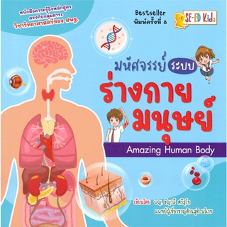 หนังสือ มหัศจรรย์ระบบร่างกายมนุษย์ Amazing Human สนพ.ซีเอ็ดคิดส์ หนังสือหนังสือเด็กน้อย หนังสือภาพ/นิทาน