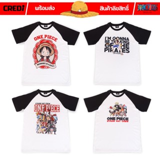 One Piece - Collection 3 เสื้อยืดการ์ตูนลิขสิทธิ์แท้ (No.147,151,144,152)