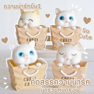 MS5605 ตุ๊กตาน้องหมาหัวดุ๊กดิ๊ก ตุ๊กตาหัวโยก โมเดลการ์ตูนตั้งหน้ารถ * ถ่ายจากสินค้าจริง-จากไทย