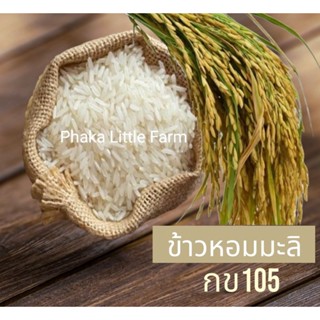 ข้าวหอมมะลิ(1กิโลกรัม)🌾สายพันธุ์กข105🌾ชาวนาขายเอง