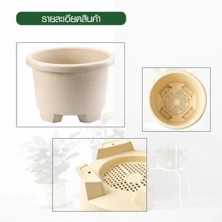 GlobalHouse Tree O กระถางต้นไม้ รุ่น PY-2007WT ขนาด 27 x 27 x 18.5 ซม. (12นิ้ว) สีขาว สินค้าของแท้คุณภาพดี