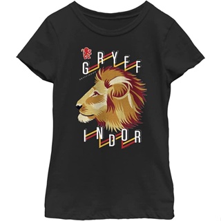 Harry Potter Kids&amp;#39; Gryffindor Team T-Shirt_12