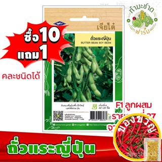 เมล็ดอวบอ้วน100%เมล็ดพันธุ์ผัก เจียไต๋ ถั่วแระ ญี่ปุ่น ประมาณ 15 เมล็ด เมล็ดพันธุ์ผักสวนครัว เมล็ดพันธุ์พืชเมล็ดพืชคุณภา