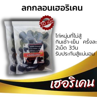 บำรุงกำลังไก่ชน ลูกกลอนตราเฮอริเคน ลูกกลอนสมุนไพรไก่ชน 4:ซองมี 100 เม็ด มีเก็บปลายทาง ยาไก่ชน ไก่ชน