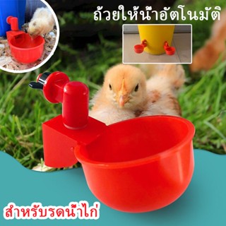 พร้อมส่ง🐓ถ้วยให้น้ำอัตโนมัติPVC/ไก่/นกกระทา ปรับน้ำได้ สําหรับรดน้ําไก่