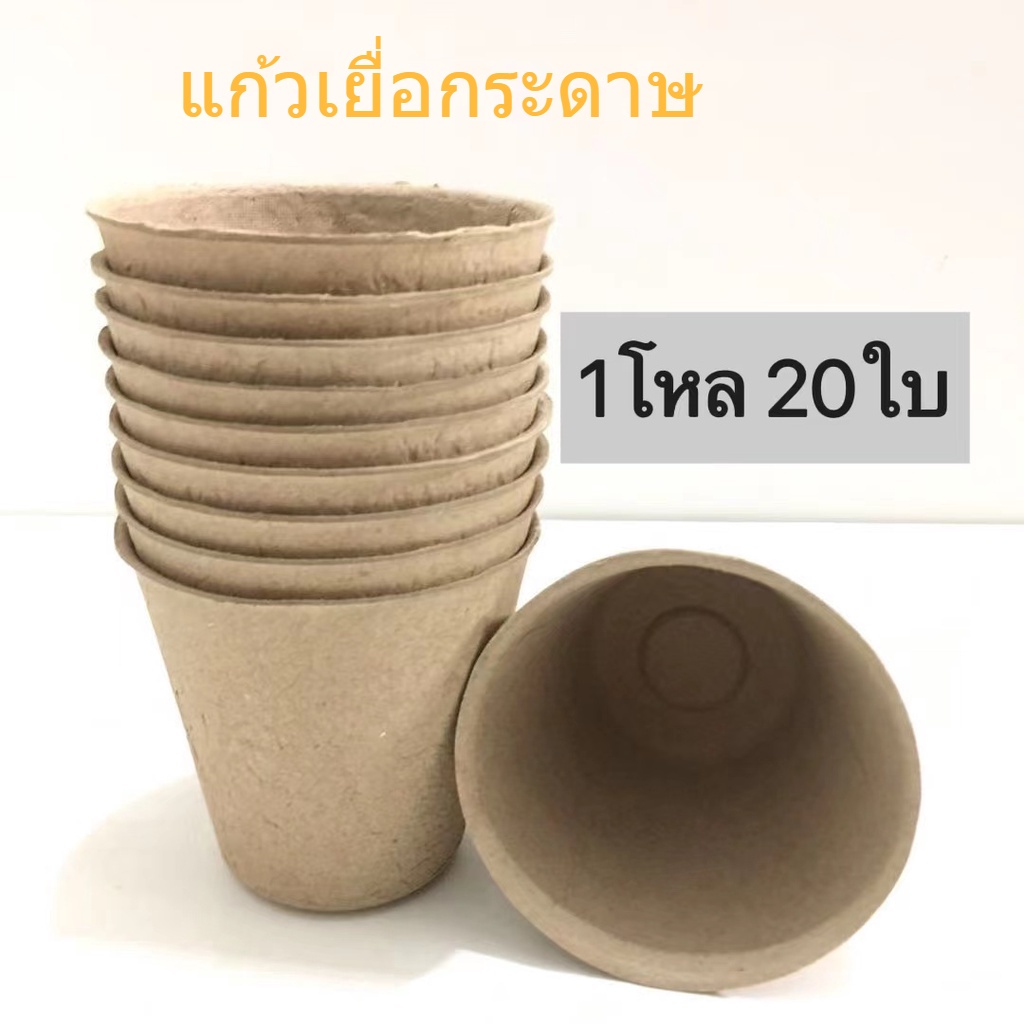 ถ้วยเยื่อกระดาษ ถ้วยเพาะปลูกถ้วยเพาะพันธุ์ ย่อยสลายได้（Cup）