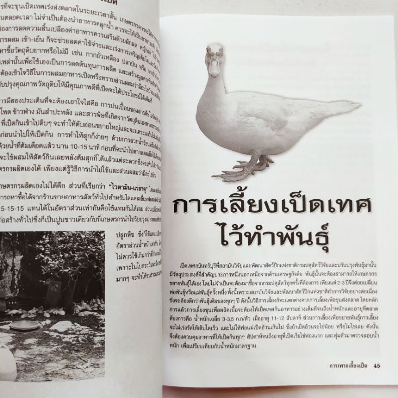 หนังสือเกษตร คู่มือการเพาะเลี้ยงและขยายพันธุ์ เป็ดไข่ และ เป็ดเนื้อ ปก135 หนา80หน้า สัมภาษณ์พิเศษ เจ้าของฟาร์มเป็ดบาบารี - รูปที่ 6
