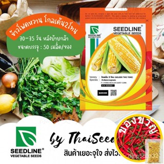 เมล็ดอวบอ้วน100%SL เมล็ดพันธุ์ซองเล็ก ข้าวโพดหวานลูกผสม โกลเด้นทูโทน (GOLDEN TWO TONES) ตราซีดไลน์ Cornเมล็ดพันธุ์Lycope