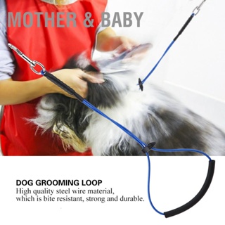 Mother &amp; Baby Dog Cat Grooming บ่วงห่วงเดี่ยวสำหรับอ่างอาบน้ำโต๊ะสัตว์เลี้ยง