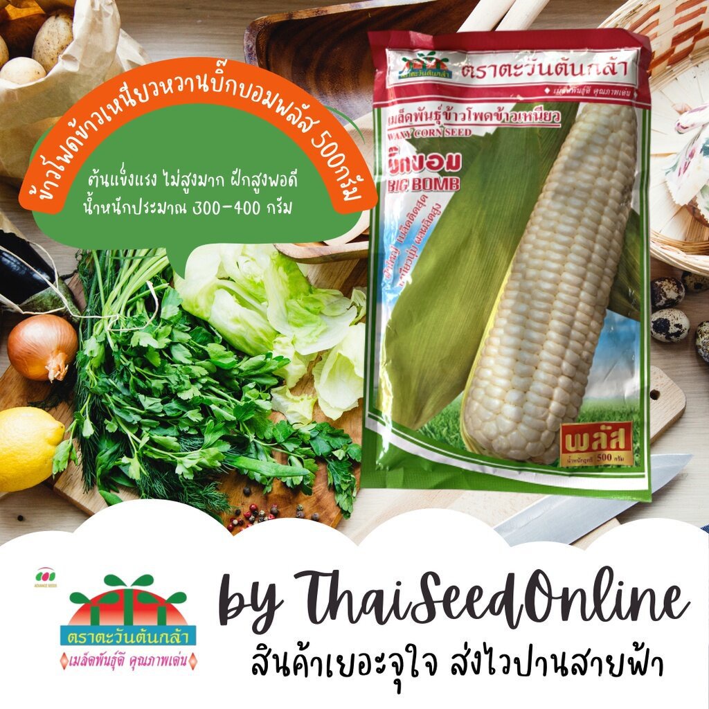 500กรัม ใหม่เมล็ดพันธุ์ข้าวโพดข้าวเหนียว บิ๊กบอม พลัส 500 กรัม ตราตะวันต้นกล้า 1CHN