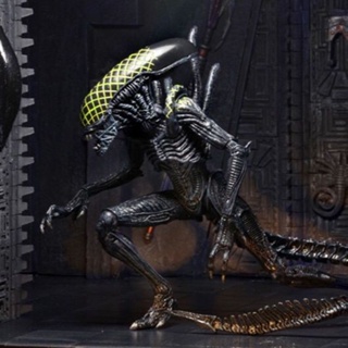 [โปรโมชั่น พร้อมส่ง] NECA โมเดลฟิกเกอร์เอเลี่ยน Wars Predator AVP Alien Alien 7th Wave Flower Head Alien ขยับได้ ขนาด 23.3 ซม.