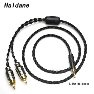 Haldane Hi-End 2.5/3.5/4.4 มม. ตัวผู้สมดุล เป็น 2 RCA ตัวผู้ HIFI สายอะแดปเตอร์เสียง 7N OCC ชุบเงิน