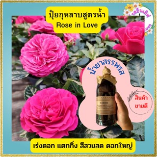 ปุ๋ยน้ำ ปุ๋ยกุหลาบ 1,000 ml บำรุงต้น ดอกตรึม รากอวบ ใบเขียว ดอกอยู่ได้นาน  ช่วยเร่งดอก เร่งผล ใช้ได้ทั้งไม้ดอก ไม้ประดับ