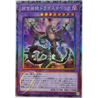 Yugioh [RC04-JP028] Predaplant Dragostapelia (Collectors Rare)