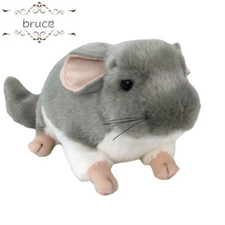 Bruce ของเล่นตุ๊กตาหนูจําลอง เสมือนจริง เพื่อการเรียนรู้ สําหรับสัตว์เลี้ยง