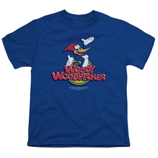 เสื้อยืด พิมพ์ลายการ์ตูน Woody Woodpecker Woody สําหรับเด็ก สีฟ้า_03