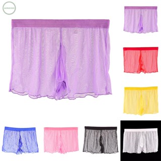 GORGEOUS~Lingeries Boxer Underpants Lingerie See-through Sheer Underwear Fitted