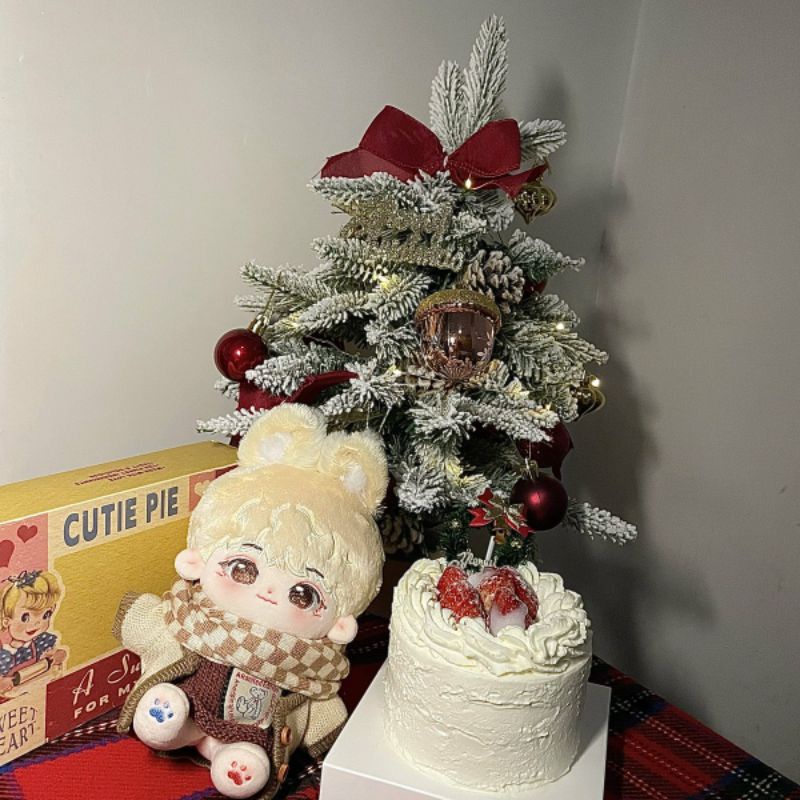 SEVENTEEN Booked Merch