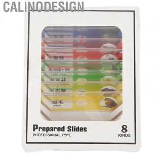 Calinodesign Prepared  Slides Safe Clear  Sample Slides For Home