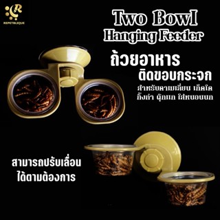 NOMOY PET Two Bowl Hanging Feeder Reptile ถ้วยอาหารสัตว์เลื้อยคลาน 2 ถ้วย จุ๊บยางติดขอบตู้ ถาดอาหารสำหรับกิ้งก่า คาเม...