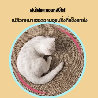 ถูกที่สุด！✨ ที่ลับเล็บแมว เปลี่ยนกระดาษลับเล็บได้ ที่ลับเล็บแมวทรงกลม ที่ฝนเล็บแมว กระดาษลับเล็บแมว ที่ฝนเล็บแมว