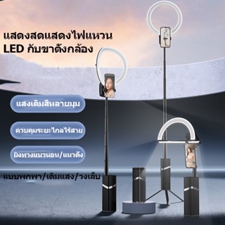 Usams ไฟวงแหวน Led เซลฟี่ อเนกประสงค์ พร้อมขาตั้งกล้อง สําหรับไลฟ์สตรีมวิดีโอ