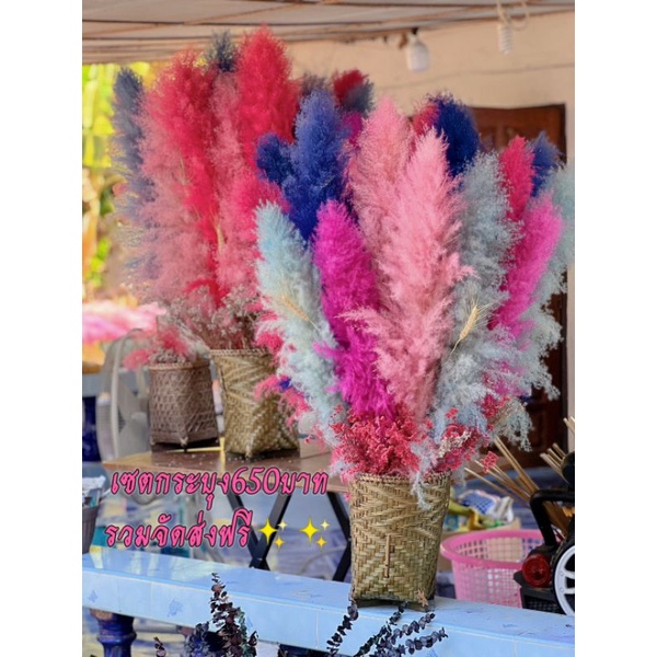 ดอกเลาเซตกระบุง 600บาทส่งฟรีสินค้าสูง100ซม.