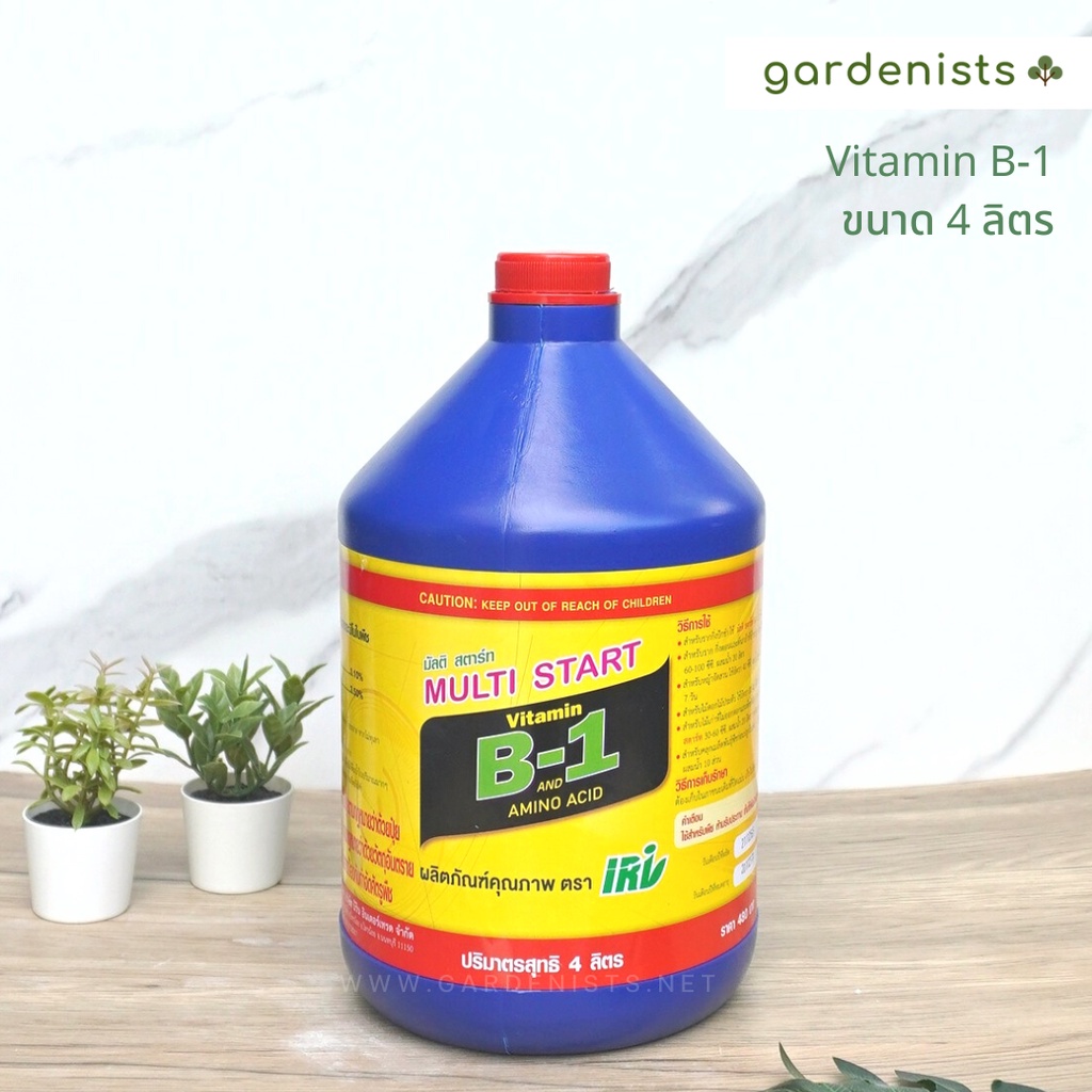 วิตามิน B1 ขนาด 4 ลิตร น้ำยาขยายราก บี1