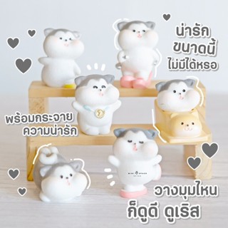 MS5697 โมเดลน้องหมาน้อยเล่นสเกต 6 แบบ ตุ๊กตาจิ๋ว โมเดลจิ๋ว ตุ๊กตาแต่งสวน * ถ่ายจากสินค้าจริง-จากไทย-ชุดสุดคุ้ม