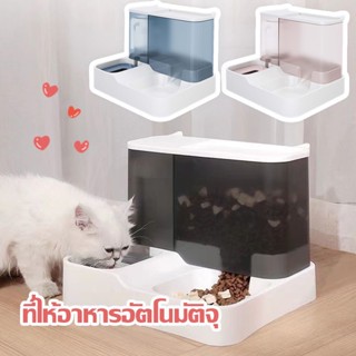 🐈COD🐈ที่ให้อาหารสัตว์เลี้ยง ที่ให้น้ำสัตว์เลี้ยง  ที่ให้อาหาร-น้ำอัตโนมัติ ที่ให้อาหารอัตโนมัติจุ